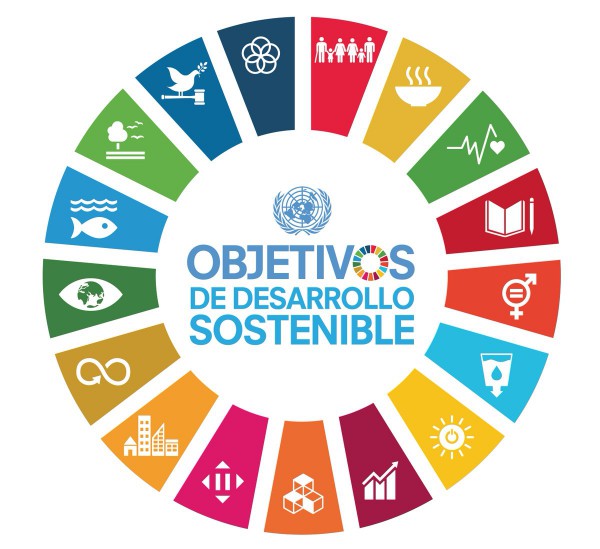 Gestor Experto en Agenda 2030 y Objetivos Desarrollo Sostenible | Extensión  Universitaria en Pontevedra | UNED