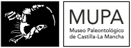 Museo Paleóntológico de Castilla la Mancha