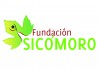 Fundación Sicómoro